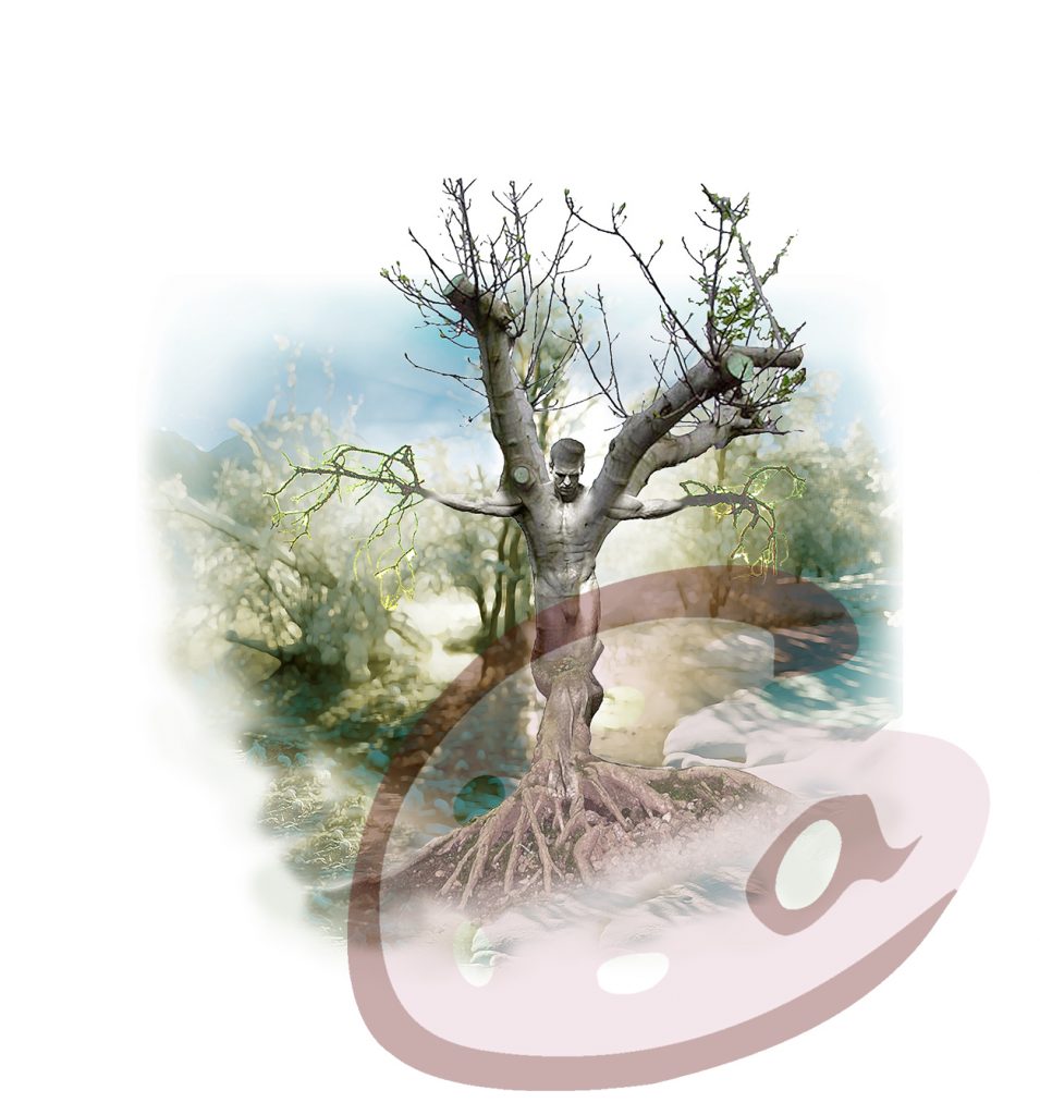 Bare tree.Variable dimensions. Digital print on various materials. Available.