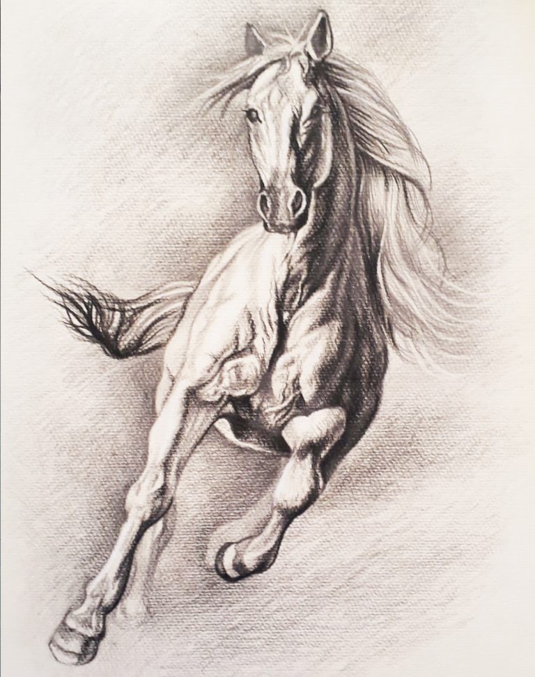 Fuga..12 in x 18 in.Graphite on Cardstock.Available.